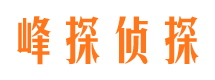 代县外遇取证